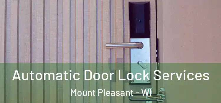 Automatic Door Lock Services Mount Pleasant - WI