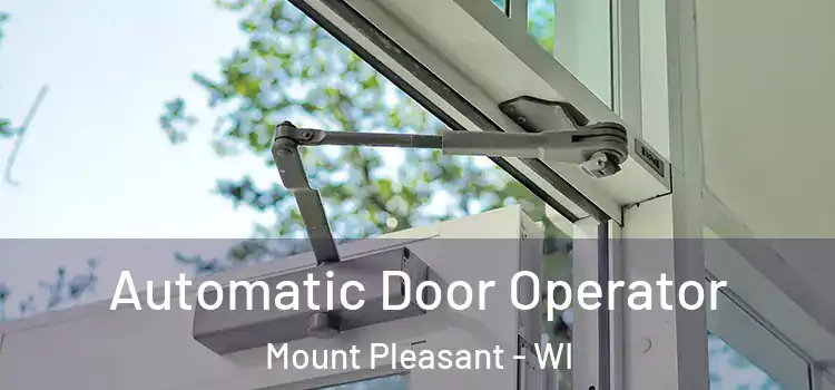 Automatic Door Operator Mount Pleasant - WI