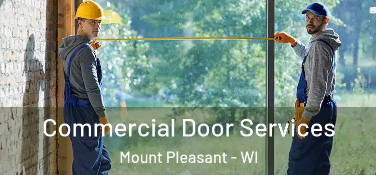 Commercial Door Services Mount Pleasant - WI