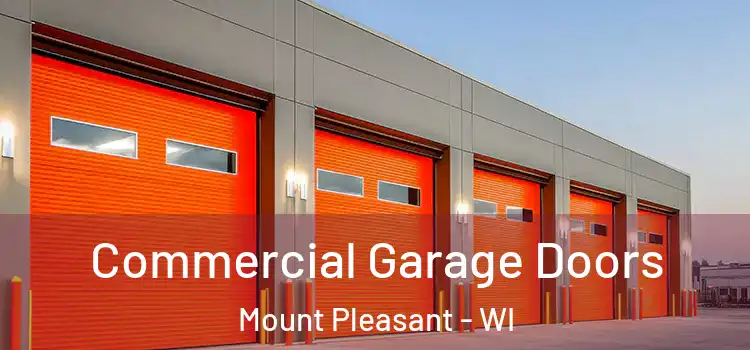  Commercial Garage Doors Mount Pleasant - WI