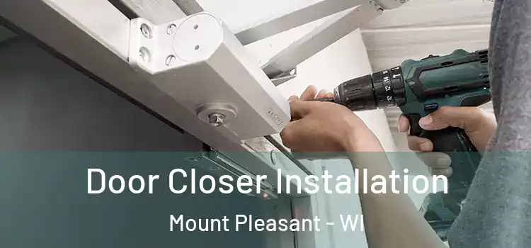  Door Closer Installation Mount Pleasant - WI