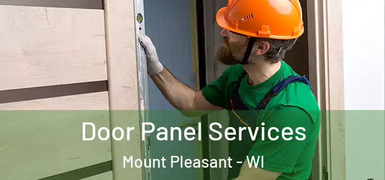 Door Panel Services Mount Pleasant - WI