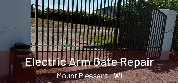 Electric Arm Gate Repair Mount Pleasant - WI