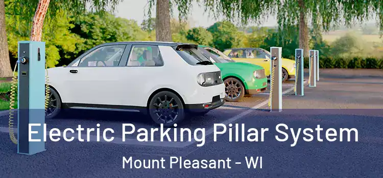 Electric Parking Pillar System Mount Pleasant - WI