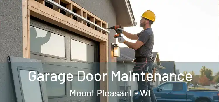 Garage Door Maintenance Mount Pleasant - WI