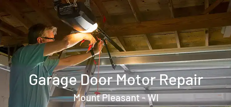  Garage Door Motor Repair Mount Pleasant - WI