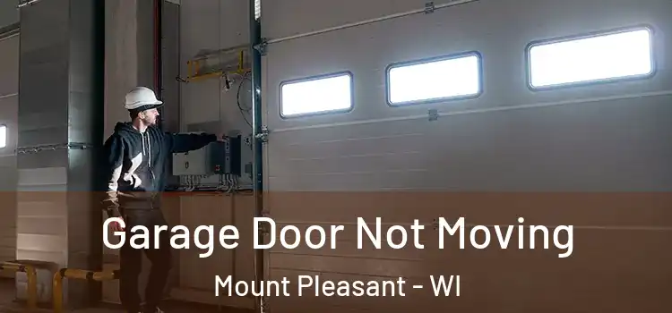  Garage Door Not Moving Mount Pleasant - WI