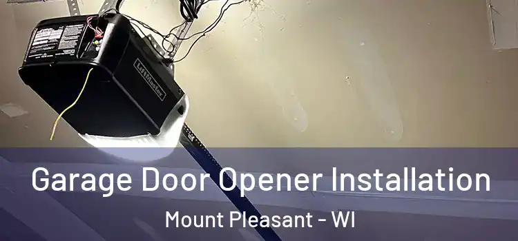  Garage Door Opener Installation Mount Pleasant - WI