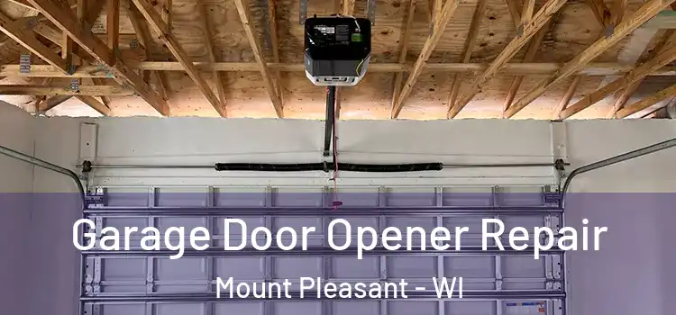 Garage Door Opener Repair Mount Pleasant - WI
