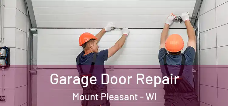  Garage Door Repair Mount Pleasant - WI