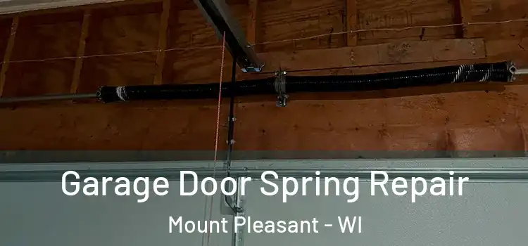  Garage Door Spring Repair Mount Pleasant - WI