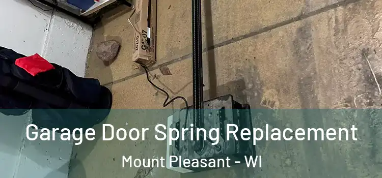  Garage Door Spring Replacement Mount Pleasant - WI