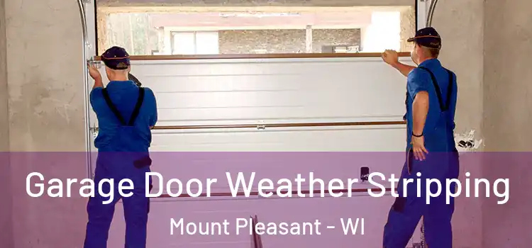  Garage Door Weather Stripping Mount Pleasant - WI