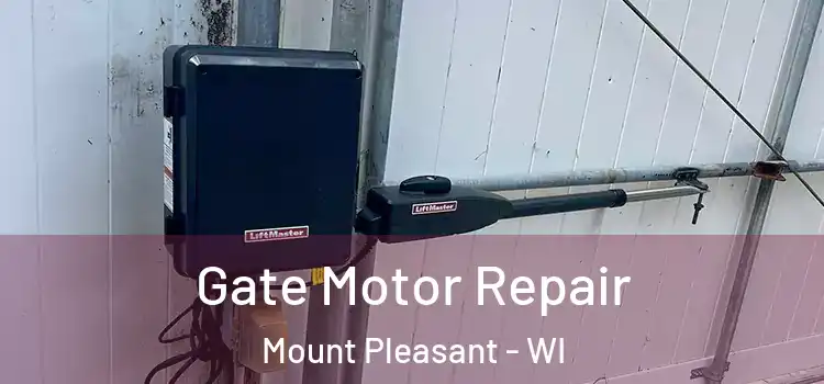 Gate Motor Repair Mount Pleasant - WI
