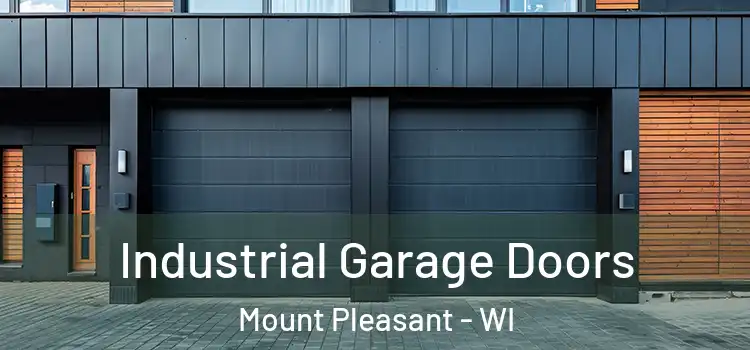  Industrial Garage Doors Mount Pleasant - WI