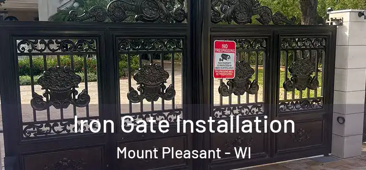 Iron Gate Installation Mount Pleasant - WI