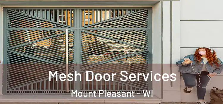  Mesh Door Services Mount Pleasant - WI
