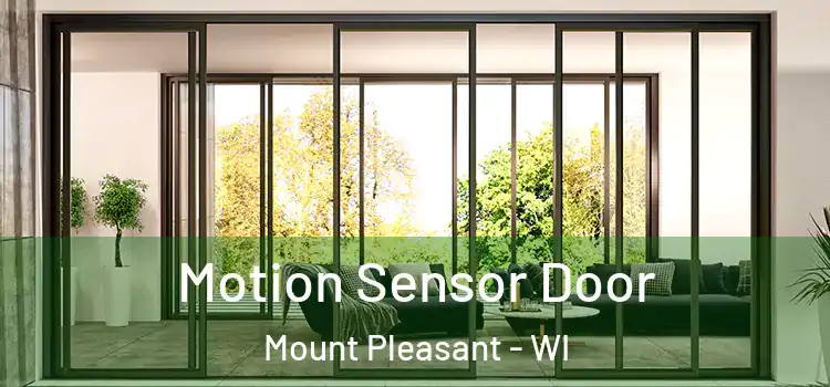Motion Sensor Door Mount Pleasant - WI