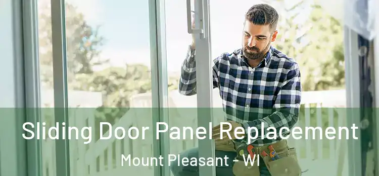  Sliding Door Panel Replacement Mount Pleasant - WI