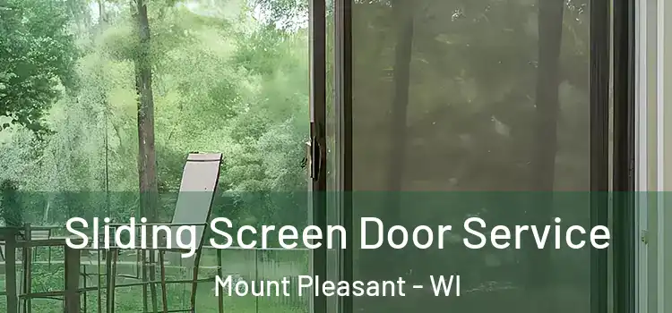 Sliding Screen Door Service Mount Pleasant - WI