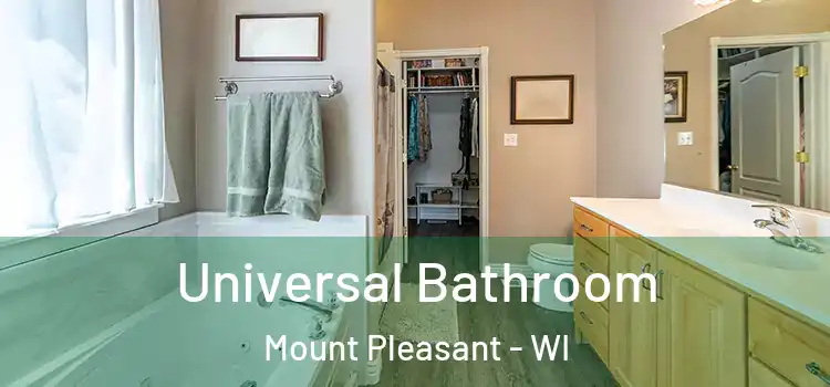  Universal Bathroom Mount Pleasant - WI